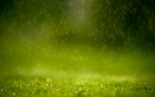 RAIN_COLLECTION