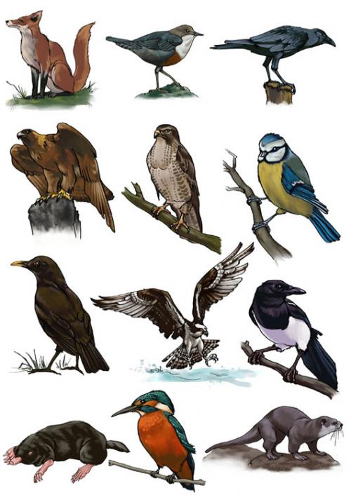Andy Hepworth Art Works (�������� �� 63 �����)