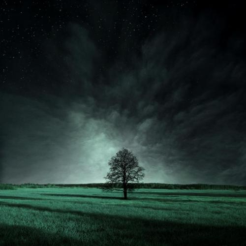 Micha Karcz - полная коллекция фоторабот