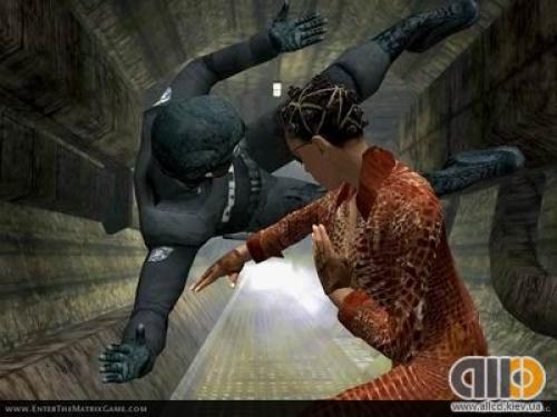 ������� ���� [Action]